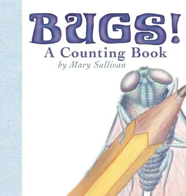 Broučci! - Bugs! a Counting Book