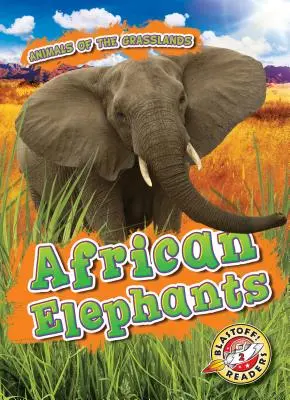 Afričtí sloni - African Elephants