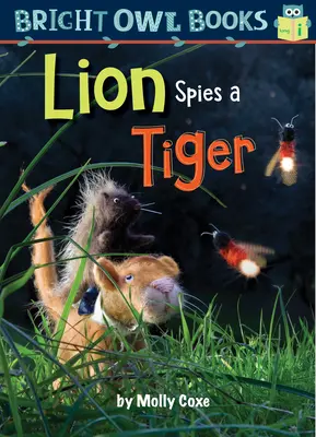Lev špehuje tygra - Lion Spies a Tiger