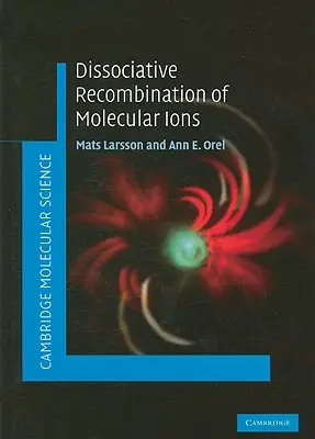 Disociativní rekombinace molekulárních iontů - Dissociative Recombination of Molecular Ions