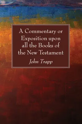 Komentář neboli výklad ke všem knihám Nového zákona - A Commentary or Exposition upon all the Books of the New Testament