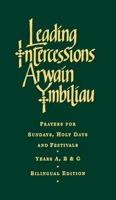 Vedení přímluv anglické/velšské vydání: Modlitby pro neděle, svátky a slavnosti Ročníky A, B a C - Leading Intercessions English/Welsh Edition: Prayers for Sundays, Holy Days and Festivals Years A, B & C
