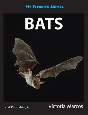 Moje oblíbené zvíře: netopýři - My Favorite Animal: Bats