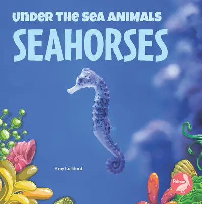 Mořští koníci - Seahorses