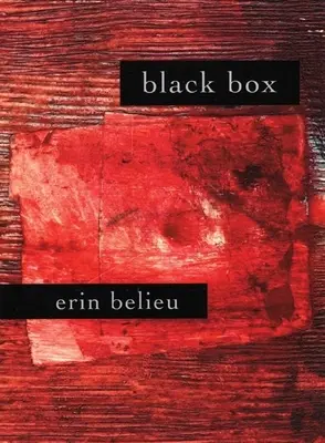 Černá skříňka - Black Box