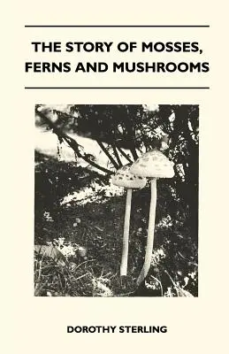 Příběh mechů, kapradin a hub - The Story Of Mosses, Ferns And Mushrooms