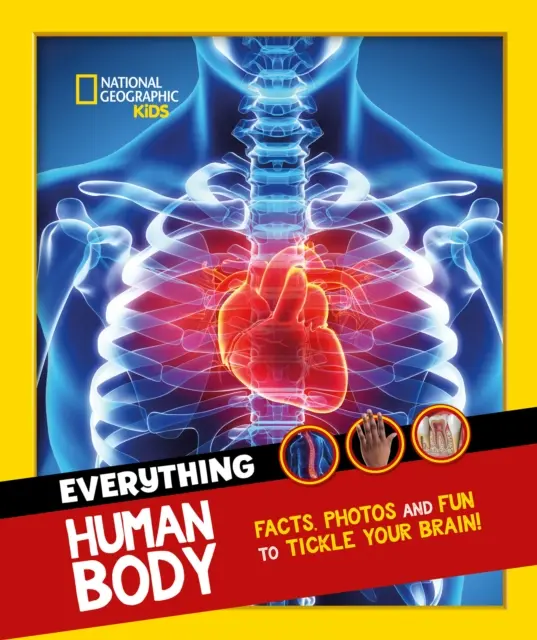 Vše: Lidské tělo - Oku lahodící fakta a fotografie, které polechtají váš mozek! - Everything: Human Body - Eye-Opening Facts and Photos to Tickle Your Brain!