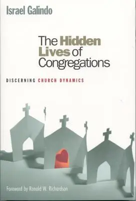 Skrytý život sborů: Rozpoznávání dynamiky církve - The Hidden Lives of Congregations: Discerning Church Dynamics