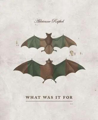 K čemu to bylo - What Was It for