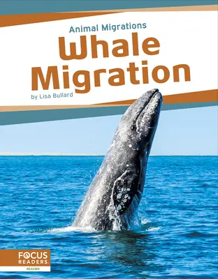 Migrace velryb - Whale Migration