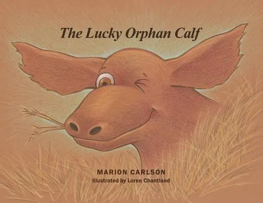 Šťastný sirotek - The Lucky Orphan Calf
