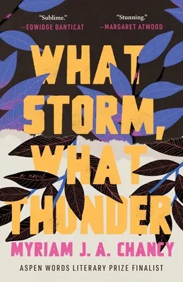 Jaká bouře, takový hrom - What Storm, What Thunder