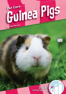 Morčata - Guinea Pigs