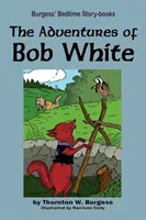 Dobrodružství Boba Bílého - The Adventures of Bob White