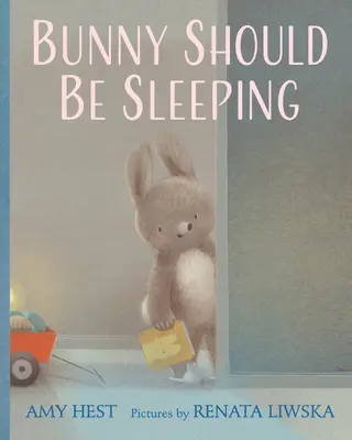 Králíček by měl spát - Bunny Should Be Sleeping