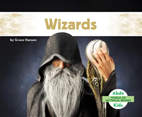 Čarodějové (Wizards) - Wizards