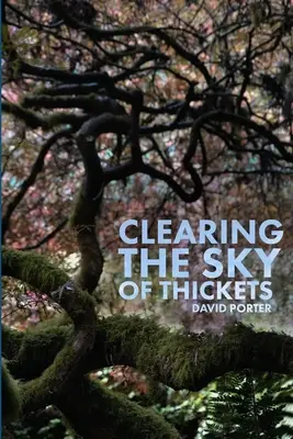 Vyčistit nebe od houštin - Clearing the Sky of Thickets