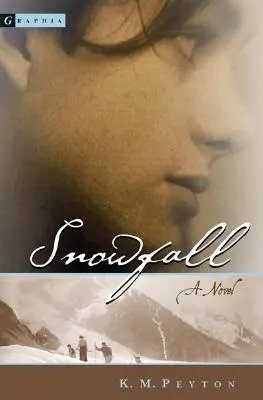 Sněžení - Snowfall