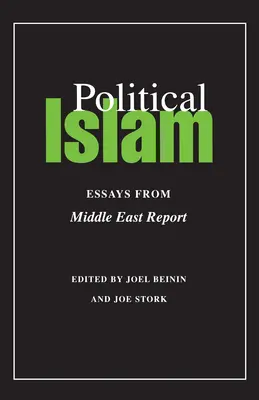 Politický islám: Eseje z Middle East Report - Political Islam: Essays from Middle East Report