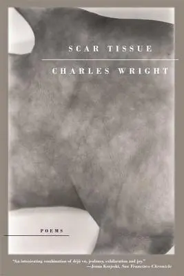Zjizvená tkáň - Scar Tissue