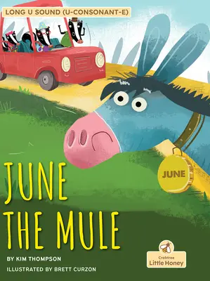 Červnový mezek - June the Mule
