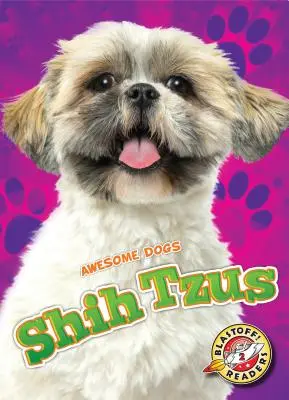 Shih Tzu - Shih Tzus
