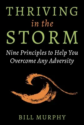 Jak se daří v bouři: Devět zásad, které vám pomohou překonat jakoukoli nepřízeň osudu. - Thriving in the Storm: Nine Principles to Help You Overcome Any Adversity