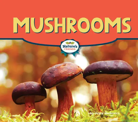 Houby - Mushrooms