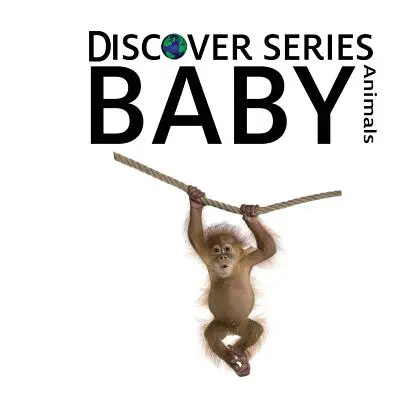 Mláďata zvířat - Baby Animals