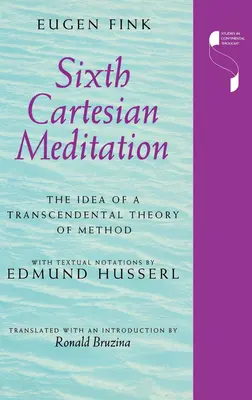Šestá karteziánská meditace: Myšlenka transcendentální teorie metody. - Sixth Cartesian Meditation: The Idea of a Transcendental Theory of Method