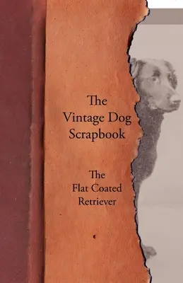 The Vintage Dog Scrapbook - The Flat Coated Retriever (Plochosrstý retrívr) - The Vintage Dog Scrapbook - The Flat Coated Retriever
