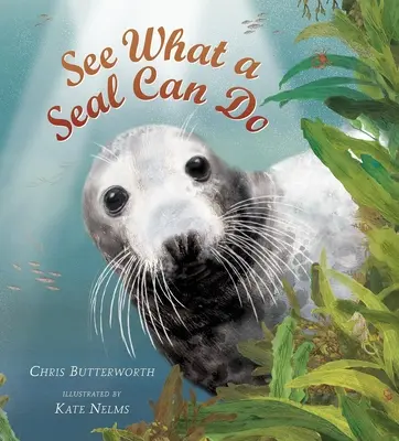 Podívejte se, co dokáže tuleň - See What a Seal Can Do