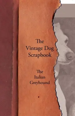The Vintage Dog Scrapbook - The Italian Greyhound (Historický psí zápisník - Italský chrt) - The Vintage Dog Scrapbook - The Italian Greyhound