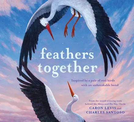 Společné peří - Feathers Together