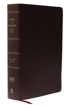 Studijní bible Život v Duchu-KJV - Life in the Spirit Study Bible-KJV