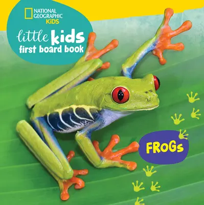 Little Kids First Board Book: Žáby - Little Kids First Board Book: Frogs