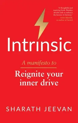 Intrinsic: Manifest, který znovu zažehne váš vnitřní pohon - Intrinsic: A Manifesto to Reignite Your Inner Drive