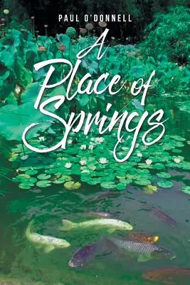 Místo pramenů - A Place of Springs