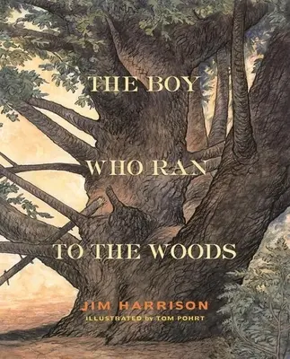 Chlapec, který utekl do lesa - The Boy Who Ran to the Woods