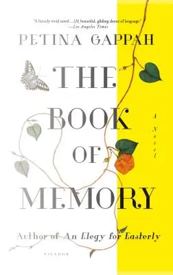 Kniha paměti - The Book of Memory