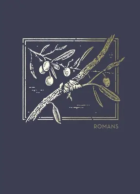 Net Abide Bible Journal - Romans, Paperback, Comfort Print: Bible svatá - Net Abide Bible Journal - Romans, Paperback, Comfort Print: Holy Bible