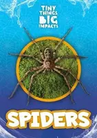 Pavouci - Spiders