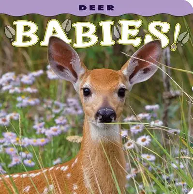Jelení miminka! - Deer Babies!
