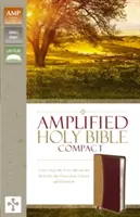 Amplified Bible-Am-Compact: Bible ve zkrácené verzi: zachycuje plný význam řeckého a hebrejského originálu - Amplified Bible-Am-Compact: Captures the Full Meaning Behind the Original Greek and Hebrew