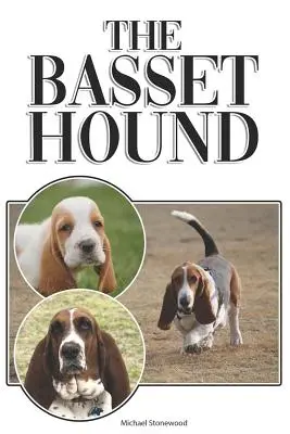 Baset: A Complete and Comprehensive Beginners Guide To: A Complete and Comprehensive Beginners Guide To: Koupě, vlastnictví, zdraví, péče, výcvik, poslušnost, pochopení - The Basset Hound: A Complete and Comprehensive Beginners Guide To: Buying, Owning, Health, Grooming, Training, Obedience, Understanding