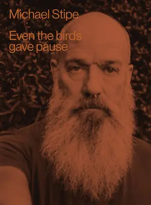 Michael Stipe: I ptáci si dali pauzu - Michael Stipe: Even the Birds Gave Pause