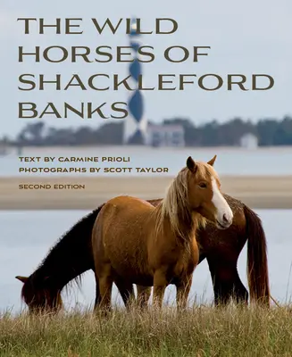 Divocí koně ze Shackleford Banks - Wild Horses of Shackleford Banks