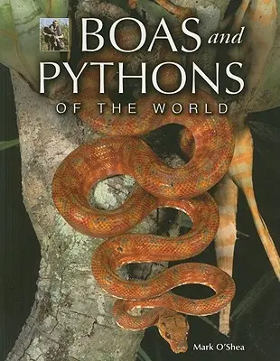 Boa a krajty světa - Boas and Pythons of the World