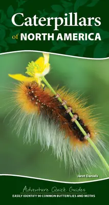 Housenky Severní Ameriky: Snadno určete 90 běžných motýlů a můr. - Caterpillars of North America: Easily Identify 90 Common Butterflies and Moths