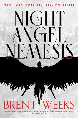 Noční anděl Nemesis - Night Angel Nemesis